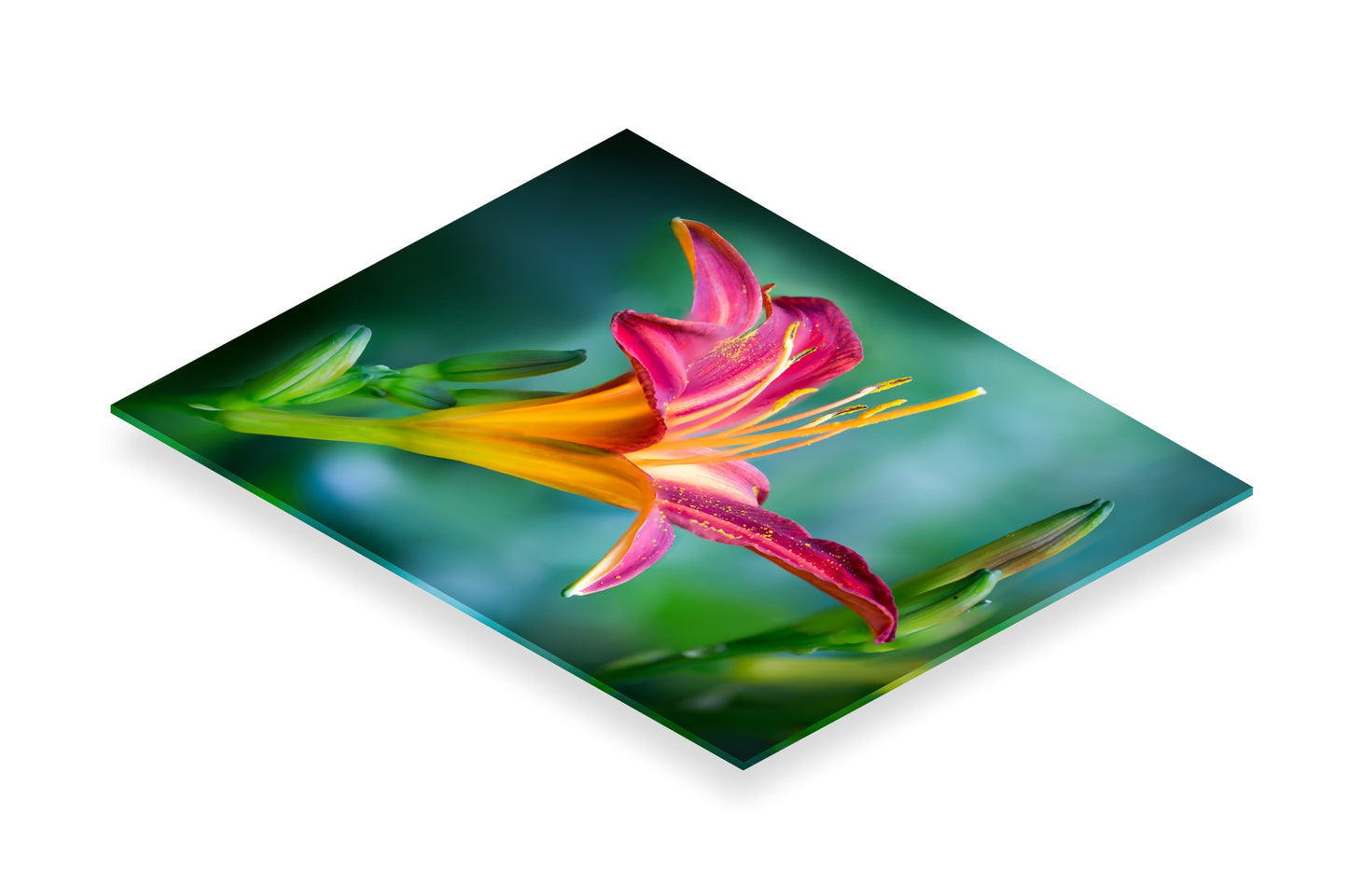 Foto auf Acrylglas