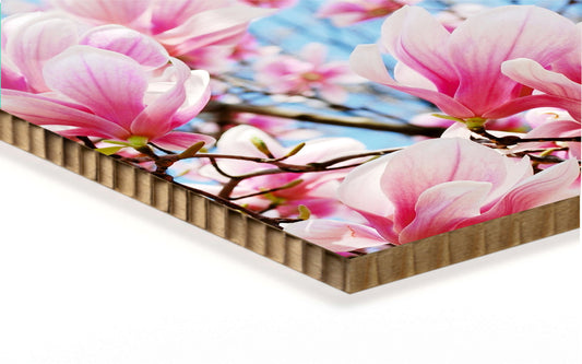 Foto auf Wabenplatten